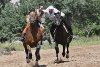 chum-anh-le-hoi-truyen-thong-salbuurun-o-kyrgyzstan-0805-010.jpg