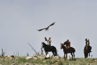 chum-anh-le-hoi-truyen-thong-salbuurun-o-kyrgyzstan-0805-02.jpg
