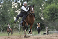 chum-anh-le-hoi-truyen-thong-salbuurun-o-kyrgyzstan-0805-04.jpg