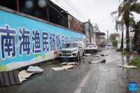 bao-matmo-11.jpg
