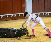 chum-anh-nhung-dau-si-tuoi-teen-o-tay-ban-nha-09.jpg