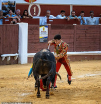chum-anh-nhung-dau-si-tuoi-teen-o-tay-ban-nha-08.jpg