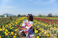 chum-anh-vuon-hoa-tulip-lon-nhat-chau-a-mo-cua-don-du-khach-8.jpg