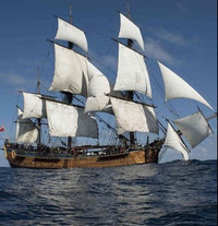 tim-thay-xac-tau-hmb-endeavour-sau-250-nam-mat-tich-bi-an-3.jpg