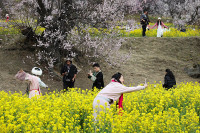 chum-anh-mua-xuan-tren-khap-the-gioi-05-016.jpg