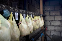 ben-trong-dau-truong-choi-ga-o-philippines-14.jpg
