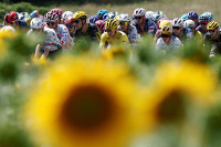 chum-anh-hinh-anh-dep-nhat-giai-dua-xe-dap-tour-de-france-2025-06.jpg