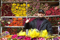 chum-anh-trong-hoa-tulip-o-vung-moscow-013.jpg