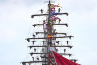 chum-anh-nhung-con-tau-cap-ben-amsterdam-tham-du-le-hoi-0805-07.jpg