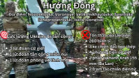 6.png