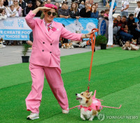 chum-anh-cuoc-dua-cho-corgi-quoc-te-lithuania-2025-17.jpg