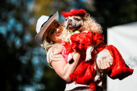 chum-anh-nhung-chu-cho-halloween-05-06.jpg