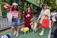 chum-anh-nhung-chu-cho-halloween-05-015.jpg