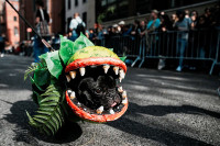 chum-anh-nhung-chu-cho-halloween-05-01.jpg