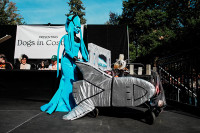 chum-anh-nhung-chu-cho-halloween-05-08.jpg