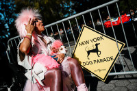 chum-anh-nhung-chu-cho-halloween-05-04.jpg