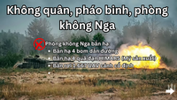 8.png