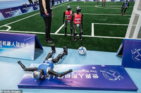 giai-dau-robot-lon-nhat-hanh-tinh-cuoi-ra-nuoc-mat-voi-loat-su-co-bat-ngo-3.jpg