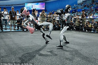 giai-dau-robot-lon-nhat-hanh-tinh-cuoi-ra-nuoc-mat-voi-loat-su-co-bat-ngo-7.jpg
