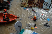chum-anh-lu-lut-o-jakarta-indonesia-040305-04.jpg