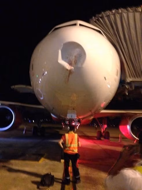 Tàu bay của Vietjet đã nhiều lần bị chim va vào hỏng khi đang hạ cánh. Trong ảnh là tàu bay của hãng này bị chim va vào móp phần đầu máy bay. Ảnh: Theo VOV