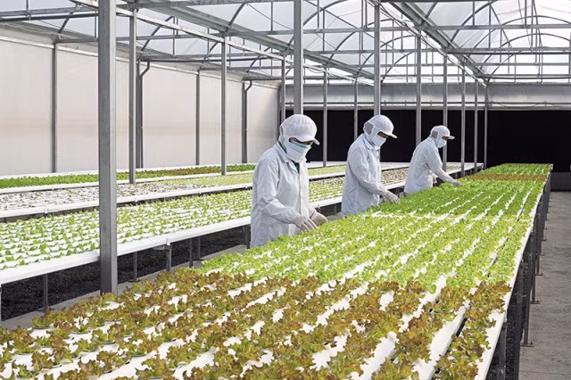 Nền nông nghiệp hiện đại phải gắn liền với nhà khoa học Nền nông nghiệp hiện đại phải gắn liền với nhà khoa học