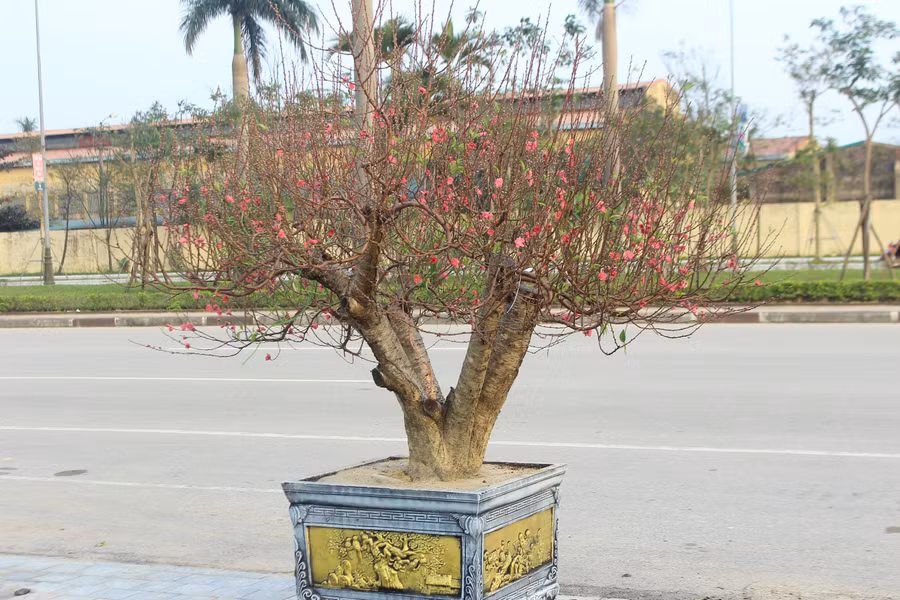img-6594.jpg