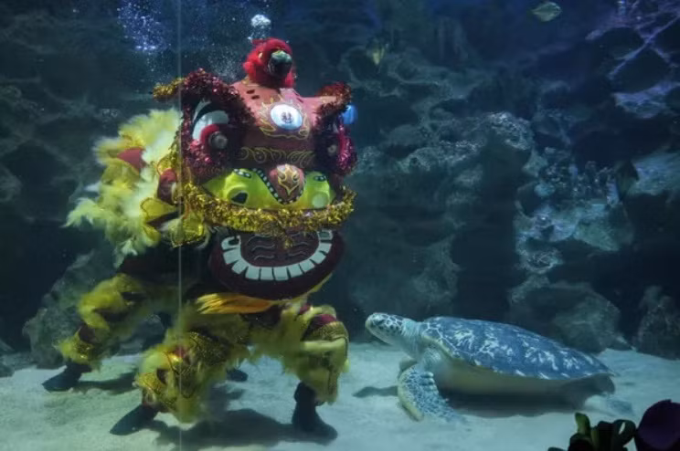 Hình ảnh chuẩn bị đón Tết Nguyên đán của các nước 