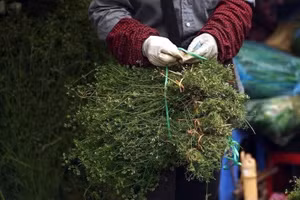 Ngửi thấy mùi già là biết Tết sắp về