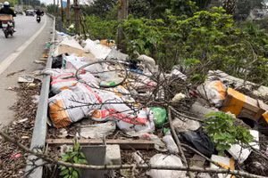 Rác thải đổ trộm tràn lan trên đường vành đai ở Hà Nội