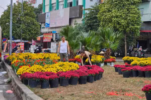 Điểm đổ rác ‘chui’ thành vườn hoa ở Hà Nội