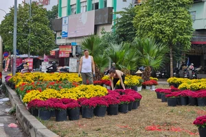 Điểm đổ rác ‘chui’ thành vườn hoa ở Hà Nội