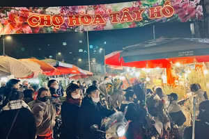 Chợ hoa Tết Quảng An cuối năm nhộn nhịp khách mua bán