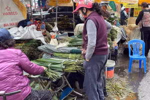 Hà Nội: Chợ lá dong Trần Quý Cáp tấp nập từ sáng đến tối