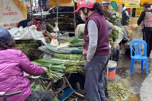 Hà Nội: Chợ lá dong Trần Quý Cáp tấp nập từ sáng đến tối