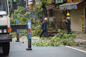Công nhân cây xanh TP.HCM tới Hà Nội hỗ trợ xử lý cây gãy, đổ sau bão số 3