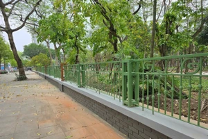 Hà Nội: Công viên Cầu Giấy lắp đặt hàng rào mới