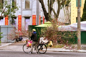 Gánh hàng rong tất tả mưu sinh cận Tết ở Hà Nội