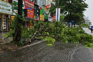 Hà Nội ngổn ngang sau trận giông lốc bất ngờ giữa trưa