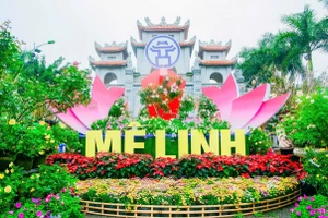 Lễ hội hoa lớn nhất Miền Bắc trước giờ ra mắt 