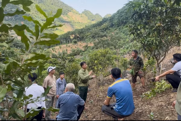 Ông Nguyễn Văn Bách - Chủ tịch UBND xã Pú Nhung (đứng giữa) tuyên truyền cho nhân dân tại thực địa.
