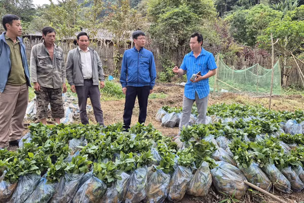 Xã Tìa Dình luôn quan tâm ưu tiên nguồn vốn đầu tư từ các chương trình, dự án, tạo sinh kế cho người dân.