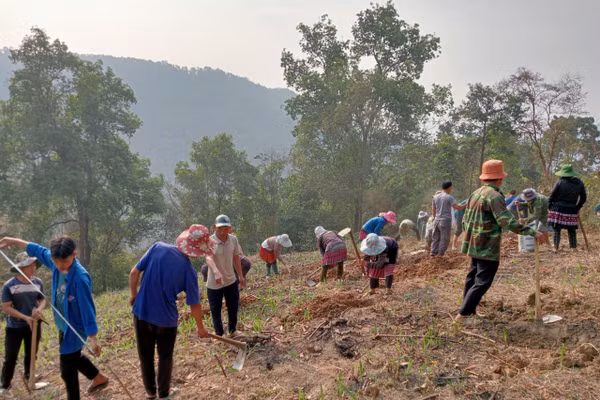 Một buổi thực hành ngoài thực địa của các học viên.