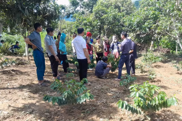 Giáo dục nghề nghiệp được tổ chức theo hướng sát với nhu cầu của người dân.