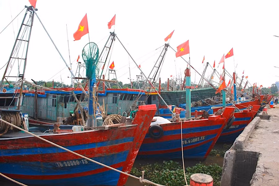 Tàu thuyền neo đậu tại Cảng cá Tân Sơn (xã Thái Thuỵ, Hưng Yên).