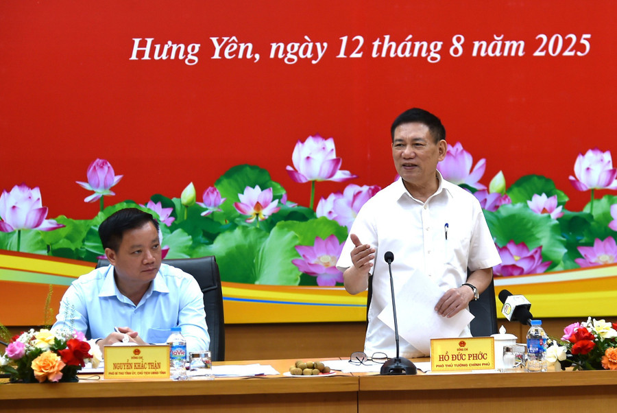 Phó Thủ tướng Hồ Đức Phớc phát biểu tại buổi làm việc.