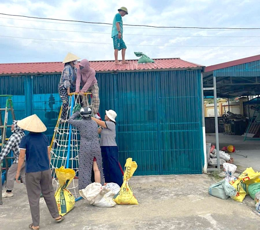 Giáo viên và phụ huynh học sinh Trường mầm non Thái Thượng (Thái Ninh, Hưng Yên) vận chuyển bao tải cát để đè mái tôn. thai-thuong.jpg