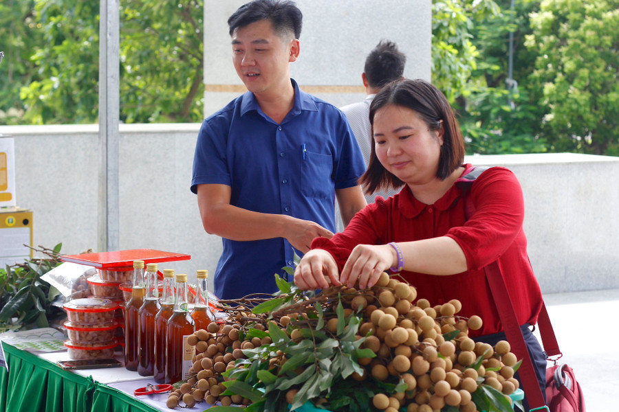 Hưng Yên hiện có 606 sản phẩm được công nhận là sản phẩm OCOP.