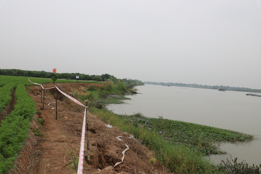 Vị trí sạt lở kè Nguyên Hoà, đê tả sông Luộc. Ảnh: Báo Hưng Yên.
