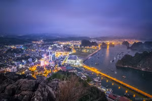 Thành phố Hạ Long về đêm. Ảnh: TG